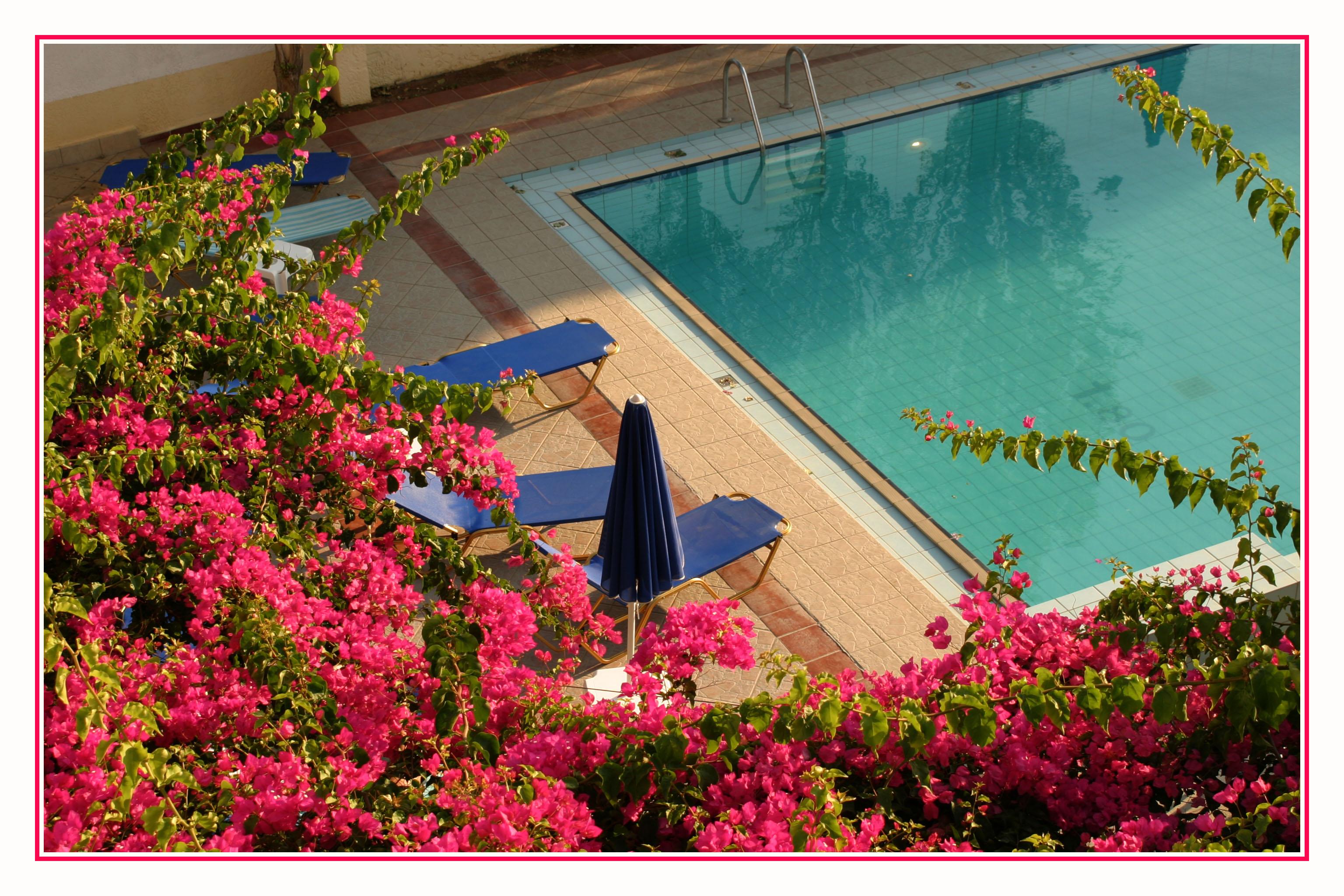 Apollon Hotel Apartments Platanias Extérieur photo